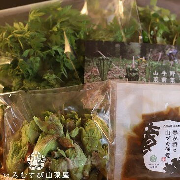 【ふるさと納税】【期間・数量限定】【4～5月中に発送予定】かかさの手仕事 山菜＆惣菜セット　A4105