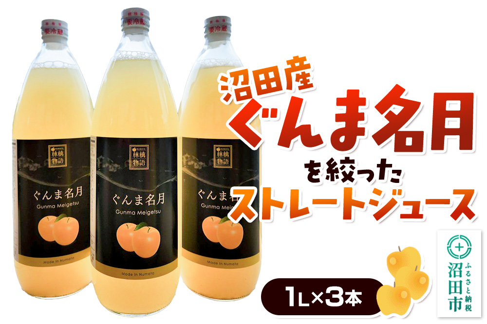 沼田産ぐんま名月だけを搾ったストレートリンゴジュース 3本セット 真田りんご園