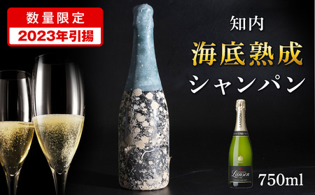 【2023年引き揚げ】知内海底熟成シャンパン E 北海道ふるさと納税 北海道 ウイスキー 海底ウイスキー 海底熟成 洋酒 海底酒