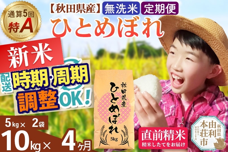 《定期便4ヶ月》令和7年産 【無洗米】通算5回特A 秋田県産ひとめぼれ 計10kg (5kg×2袋) お届け周期調整 隔月もOK