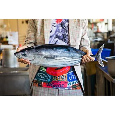 ふるさと納税 南国市 訳あり!わら焼きたたき1.5kg |  | 03
