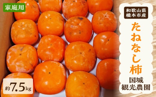 たねなし柿は種のない柿なのでとっても食べやすく、甘くてジューシーです。