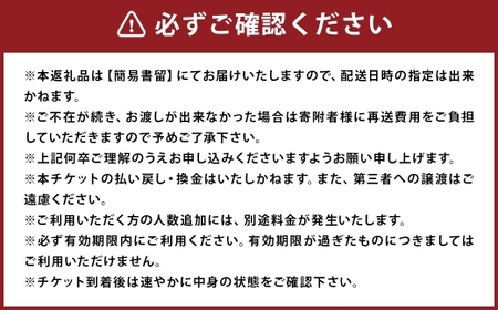 福岡県柳川市 日本旅行 地域限定旅行クーポン300,000円分（30,000円分×10枚）旅行クーポン 旅行 観光 クーポン 家族旅行 柳川市