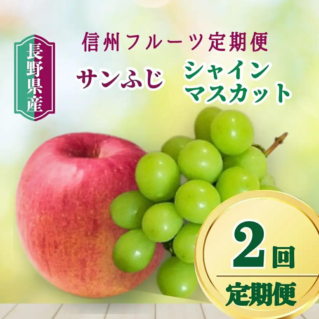2回定期便：シャインマスカットとサンふじ 信州フルーツ定期便（ぶどう・りんご）| サンふじ