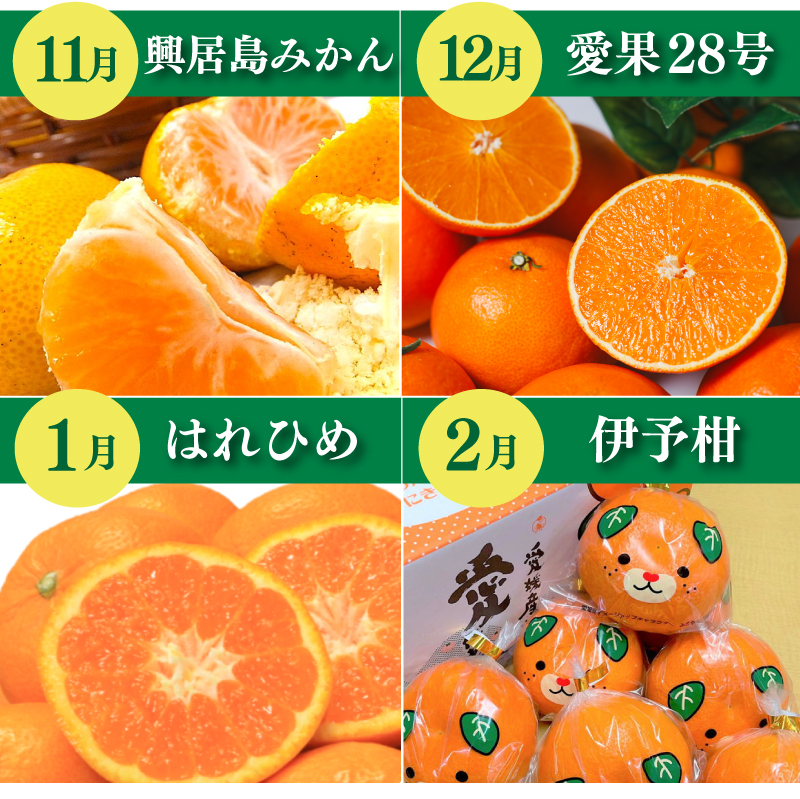 【先行予約】【全7回】 柑橘定期便｜ 興居島みかん あいか はれひめ いよかん温州 温州みかん 愛果 愛果28号 紅まどんな と同品種 伊予柑 せとか 神ポン カラマンダリン 不知火 柑橘 定期便 取