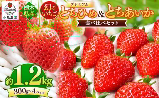 とちひめ とちあいか 食べ比べ プレミアム 幻のいちご｜1200g 希少 柔らかい 果肉 大粒 ジューシー 果汁 いちご 苺 特産品 ストロベリー strawberry スイーツ お取り寄せ ご褒美 贈答用 プレゼント ご褒美 栃木県 真岡市