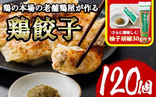 
            鶏の本場の老舗鶏屋が作る味鶏の餃子セット (計120個・1Pあたり12個入・柚子胡椒30g付き！) 鶏餃子 餃子 鶏肉 ぎょうざ おかず お惣菜 おつまみ 冷凍【V-72】【味鶏フーズ】
          