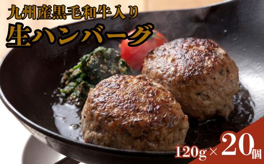 
牛100％九州産黒毛和牛入り生ハンバーグ：B165-004
