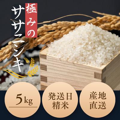 ふるさと納税 新庄市 新米 令和8年産 極みのササニシキ(精米)5kg