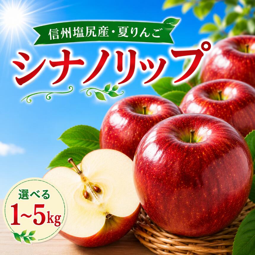 【ふるさと納税】【2026年先行予約】信州塩尻産 シナノリップ 選べる内容量♪《 約1～5kg 》【8月中旬～8月末にかけて順次発送予定】| 先行受付 果物 くだもの フルーツ シナノリップ りんご 林檎 信州 長野県 塩尻市