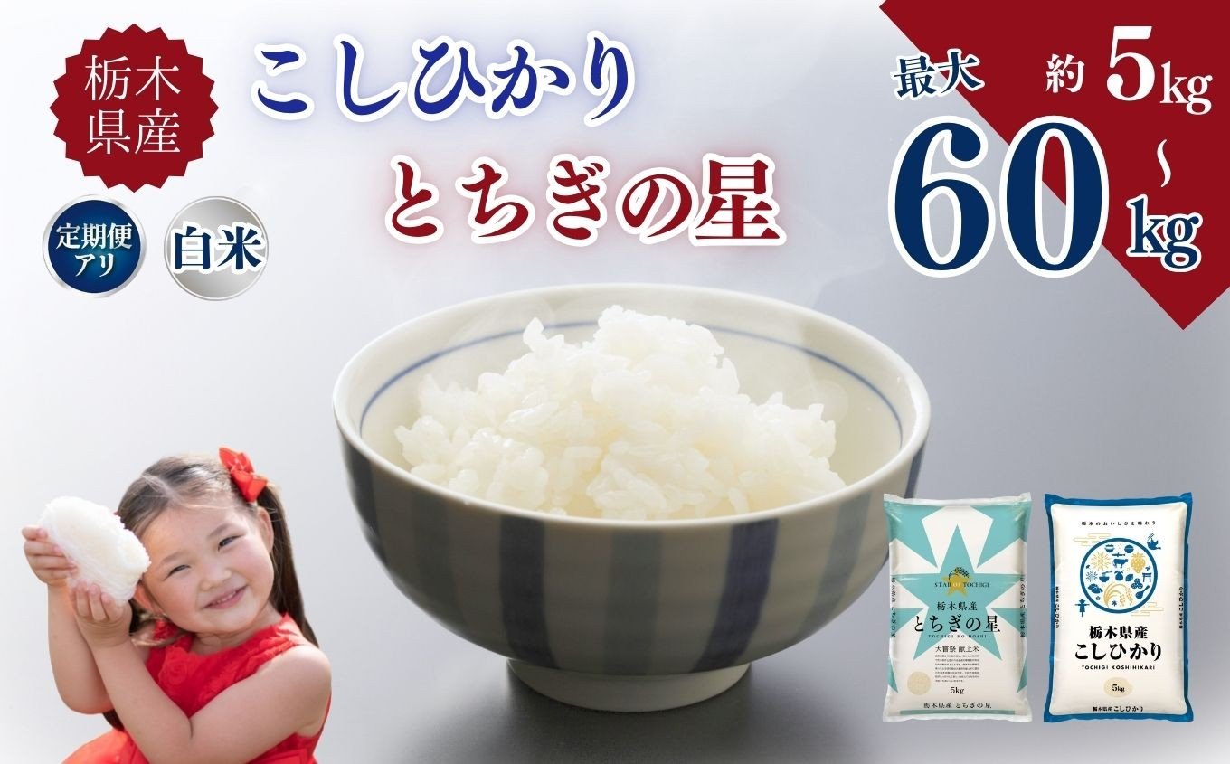 
                  白米 選べる 定期便  こしひかり コシヒカリ とちぎの星 令和7年 | 【 数量 】 【 発送回数 】栃木県産 5kg 10kg  定期便 3回 6回| お米 米 こめ ご飯 美味しい ふるさと 栃木県 矢板市 【栃木県共通返礼品】 ブランド米
                