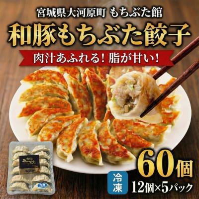 ふるさと納税 大河原町 和豚もちぶた 餃子 60個 (12個×5P)[53753706]