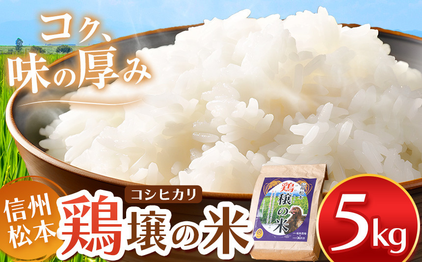 
【６ヵ月定期便】鶏穣（けいじょう）の米 ５ｋｇ | 米 コシヒカリ 鶏穣の米 信州 松本産 長野県 信州米 こめ 白米 おこめ ごはん 銘柄米 単一米 信州産 ふるさと納税 定期便
