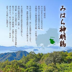 【期間限定・先行受付】クリスマスにオススメ☆鶏肉専門店の「骨付きローストチキン 3本（みはら神明鶏）」 肉 加工品 鶏肉 チキン 骨付きローストチキン クリスマスチキン パーティー イベント クリスマ