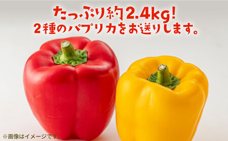 【肉厚ジューシー】五島のパプリカ 約2.4kg 五島市/HPIファーム  [PCP009]  野菜 やさい 国産 新鮮 緑黄色野菜 産地直送 とれたて
