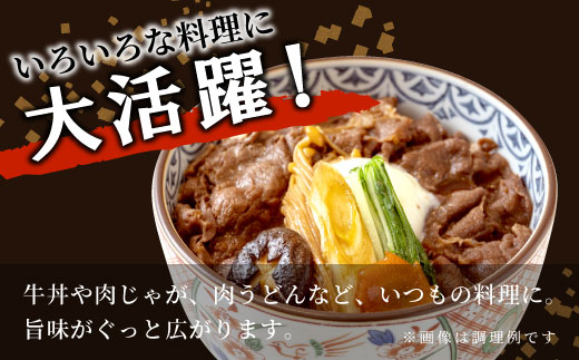 飛騨牛 切り落とし 600g 牛肉 和牛 肉 お肉 切落し 不揃い にく 切り落し 東白川村 ブランド牛 国産 人気 おすすめ 薄切り きりおとし 岐阜 すき焼き お取り寄せ 冷凍