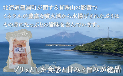 ぶり切身 約200g x 5パック 【2026年10月より順次発送】北海道 噴火湾産