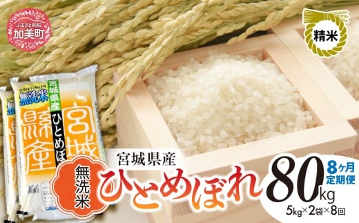 【 8回 定期便 】無洗米 令和7年度産 宮城 ひとめぼれ 計 80kg （ 10kg × 8回 ）｜ 菅原精米工業 宮城県 加美町 sw-hb10-mu-t8-r7｜ ヒトメボレ 米 コメ お米 ごはん