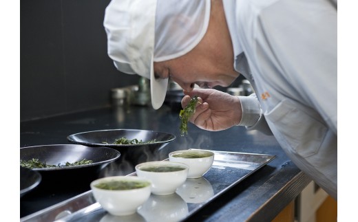 滋賀県産朝宮ほうじ茶使用 泡立つ ほうじ茶ラテ1kg【約66杯分】