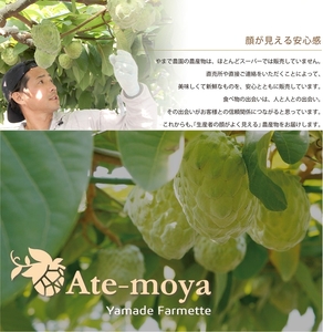 伊勢志摩産 アテモヤ 中玉３～４個 約1.2kg やまで農園 令和8年11月発送 世界三大美果 果物 ふるさと 納税 くだもの フルーツ 森の アイス クリーム 送料無料 産直 事前予約 三重 南伊勢