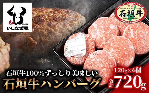 石垣牛ハンバーグ 120g×6個 【高級黒毛和牛 国産 ハンバーグ 国産牛 石垣牛 沖縄県 沖縄 琉球 八重山 八重山諸島 石垣島 石垣 ハンバーグ】AB-016