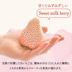 冷凍いちご 白いちご 計 1.3kg sweet milk berry 白いちご