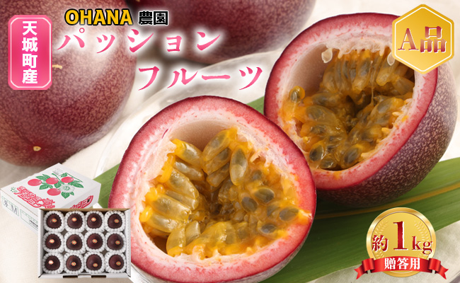 【2026年発送】先行受付 徳之島 天城町 パッションフルーツ1kg(贈答用) OHANA農園  フルーツ パッション BO-1-N
