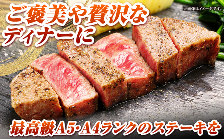 【全2回定期便】長崎和牛 ヒレ ステーキ 200g×2 《壱岐市》【KRAZY MEAT】 A5 A4 冷凍 和牛 肉 牛肉 BBQ[JER128]