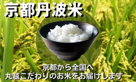 京都伏見のお米問屋が精米 京都丹波産こしひかり 5kg×2 計10kg◇※米食味鑑定士厳選 ※精米したてをお届け※沖縄本島・離島への配送不可《米 京都丹波産 特Ａ 米 令和5年産米 大人気米 人気米 