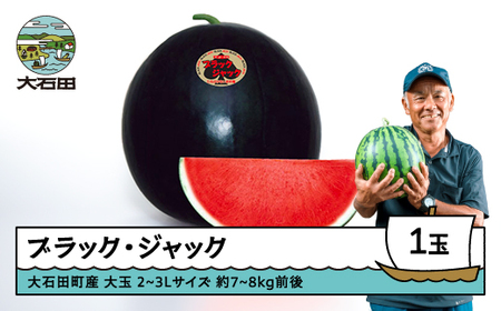 すいか ブラックジャック 2~3Lサイズ×1玉 2026年産 令和8年産 山形県産 大石田町産 東北 果物 くだもの フルーツ 人気 オススメ 便利 グルメ 取り寄せ ご当地 特産 産地 直送 支援 贈答 ギフト GIFT gt-subjx2