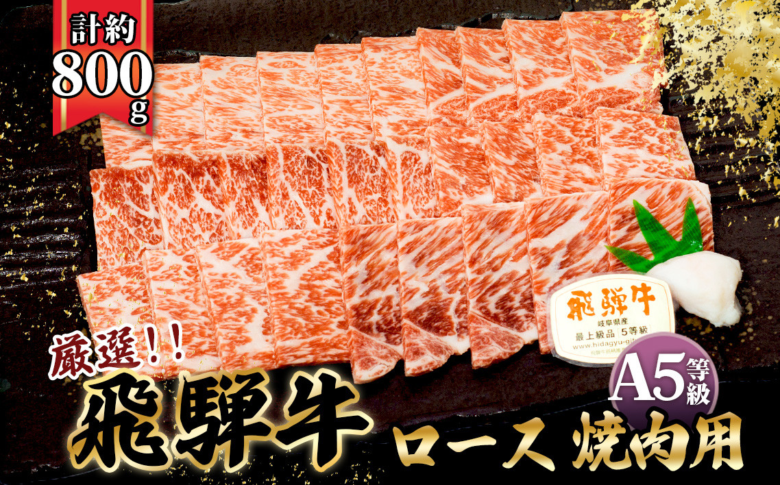 
店主こだわり雌牛 飛騨牛A5等級　ロース　焼肉用　約800g [No.065] ／ 牛肉 ブランド牛 やきにく メス牛 冷凍 岐阜県 特産
