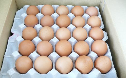 蔵王琥珀卵（50個）　【04301-0295】_イメージ2