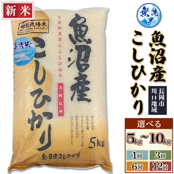 【ふるさと納税】令和7年 米 無洗米 定期便 魚沼 新潟 コシヒカリ 選べる 5kg 10kg（5kg×2袋） 1回 3回 6回 12回 3ヶ月 6ヶ月 12ヶ月 新潟こしひかり 白米 お米 新潟県魚沼産特別栽培米コシヒカリ無洗米（越後農産）