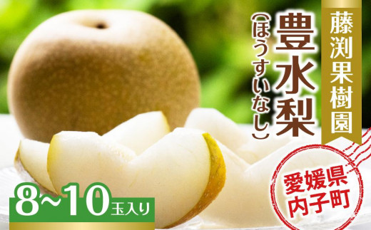
藤渕果樹園の豊水梨（ほうすいなし）（2）【8～10玉入り】【フルーツ 果物 くだもの 食品 人気 おすすめ 送料無料】
