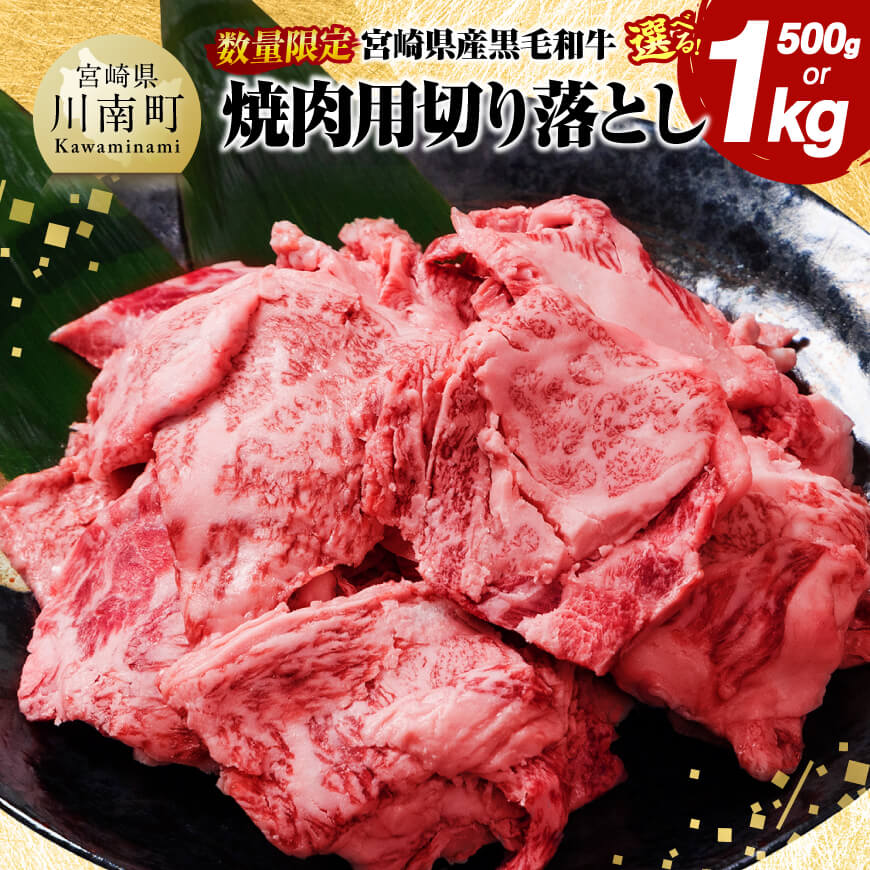 【ふるさと納税】※内容量が選べる※宮崎県産黒毛和牛焼肉用切り落とし - 牛肉 国産 宮崎県産 宮崎牛 BBQ D11304 D11303