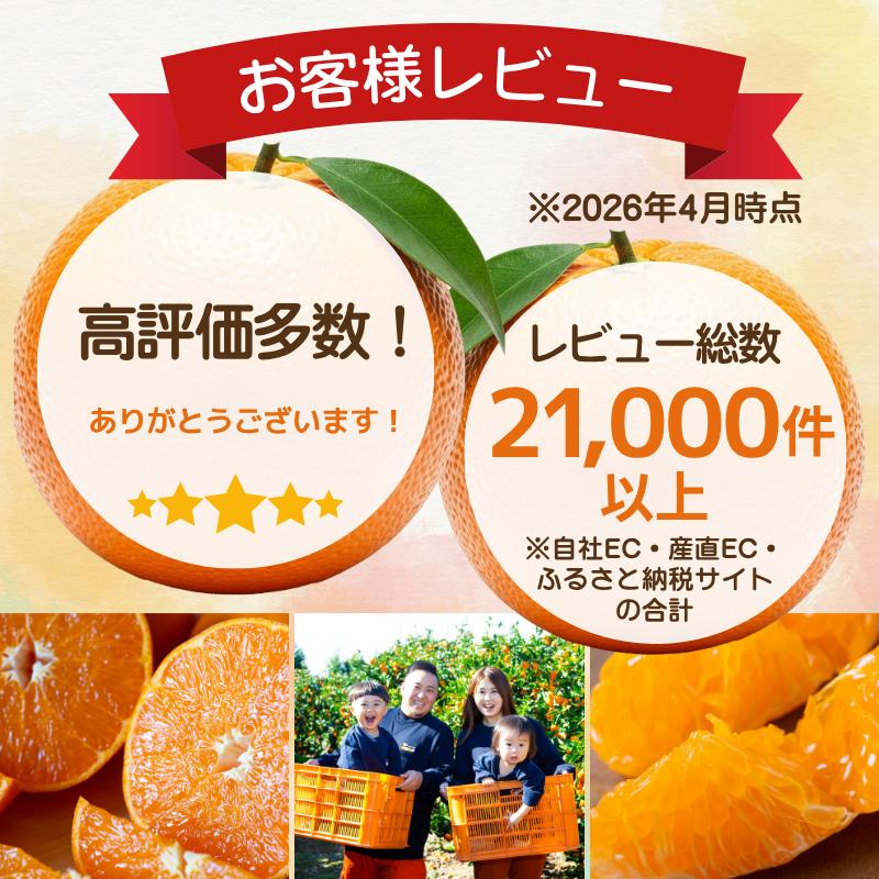【先行受付】【果汁あふれる】とろ甘食感 はるみ　4kg　愛媛県産【49-121】【1741171】 YWTZ090