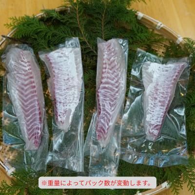 ふるさと納税 海陽町 《約500g以上》タイ (柵) 刺身用　小分けタイプ　冷凍でお届けします! |  | 01