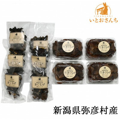 【ふるさと納税】新潟県弥彦村産　越のうさぎ 　生きくらげ250g×4、乾燥きくらげ25g×6　詰め合せセット_＜栽培期間中農薬不使用＞手のひらサイズ 大きい 肉厚食感 プリプリ きくらげ 木耳 キクラゲ きのこ キノコ 歯ごたえ 新潟県 弥彦村【配送不可地域：離島】【1354463】