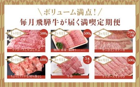  飛騨牛  定期便 ６か月 6回 しゃぶしゃぶ すき焼き   サーロイン ステーキ　切り落とし 牛串 リブロース 牛 黒毛和牛  　肉　飛騨高山  飛騨牛のこもり TR3483【飛騨牛 和牛ブランド 