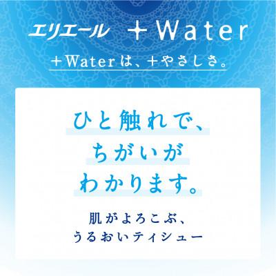 ふるさと納税 津山市 エリエール+Waterティシュー180W5P |  | 01