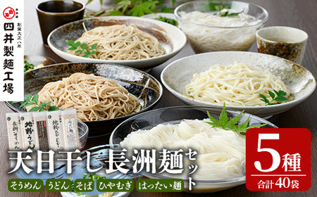 天日干し長洲麺詰合せ(合計40袋・5種)そうめん ひやむぎ うどん そば はったい麺 麺類 詰合せ 手軽 簡単調理 常温 大分県産【101401300】【四井製麺工場】