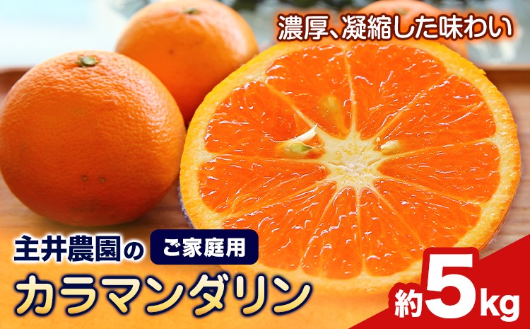 
                  【先行予約】カラマンダリン ご家庭用 約5kg 主井農園《4月上旬-5月中旬頃出荷》 和歌山県 日高町 カラマンダリン 訳あり 家庭用 みかん 訳ありみかん 果物 送料無料
                
