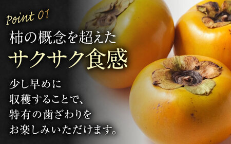 【先行予約】【10月上旬から順次発送】太秋柿 2Lサイズ 約3kg化粧箱入[AGAO004] 柿 柿 柿 柿 柿