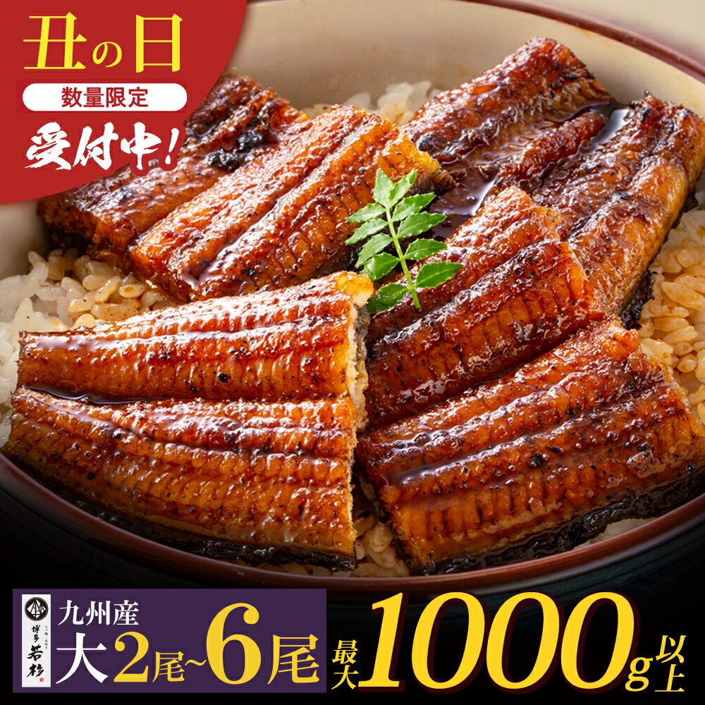 国産うなぎ蒲焼大サイズ2尾（計350g以上）鰻蒲焼用タレ・山椒付 うなぎ生産量日本一鹿児島県産・宮崎県産 K61-71