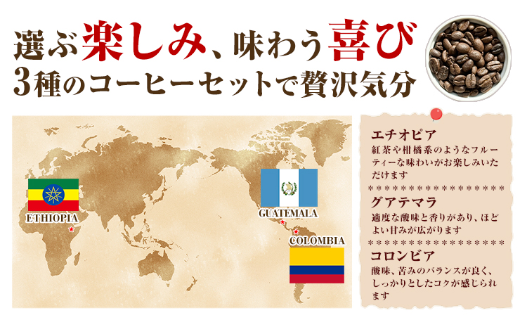 コーヒー豆 3ヶ国 飲み比べ 豆 計300g YAMACOFFEE《30日以内に出荷予定(土日祝除く)》大阪府 羽曳野市 コーヒー 豆 自家焙煎