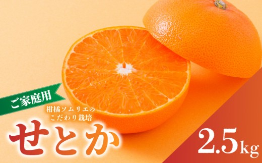 【2027年2月下旬から順次発送】せとか B品 家庭用 2.5kg | セトカ みかん 蜜柑 柑橘 甘い 高級 果物 フルーツ おすすめ 人気 愛媛三大柑橘（ 紅まどんな せとか 甘平 ） 愛媛 松山