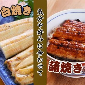 【蒲焼き用タレ付き】うなぎ白焼き140g×3尾(冷凍・真空パック)【配送不可地域：離島】【1497506】