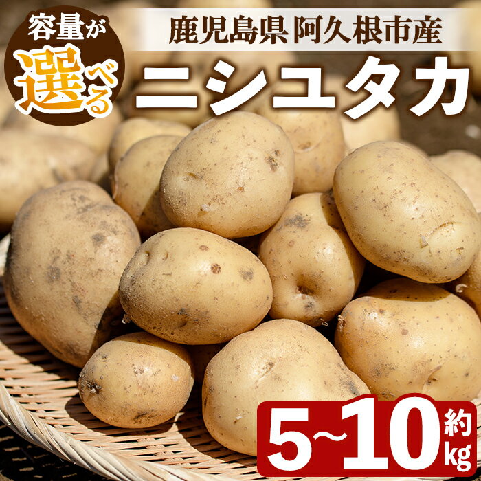 【ふるさと納税】＜内容量が選べる！＞じゃがいも ニシユタカ(5〜10kg) 国産 鹿児島県産 阿久根市産 じゃがいも ジャガイモ 芋 ポテト にしゆたか 野菜 期間限定 数量限定 ポテトサラダ コロッケ 常温 常温配送【慶越農園】