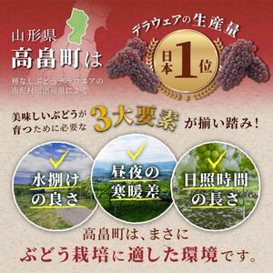 【期間限定発送】 シャインマスカット 秀 4房 約 2.4kg [もん前の里 山形県 高畠町 tk06ays960003] フルーツ 果物 くだもの ぶどう ブドウ 葡萄 2.4キロ 甘い