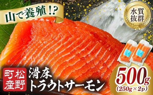 【森の国で養殖】滑床トラウトサーモン 500g（250g×2P） ｜ 刺身 小分け 切り身 ふるさと納税 国産 冷凍 ※離島への配送不可